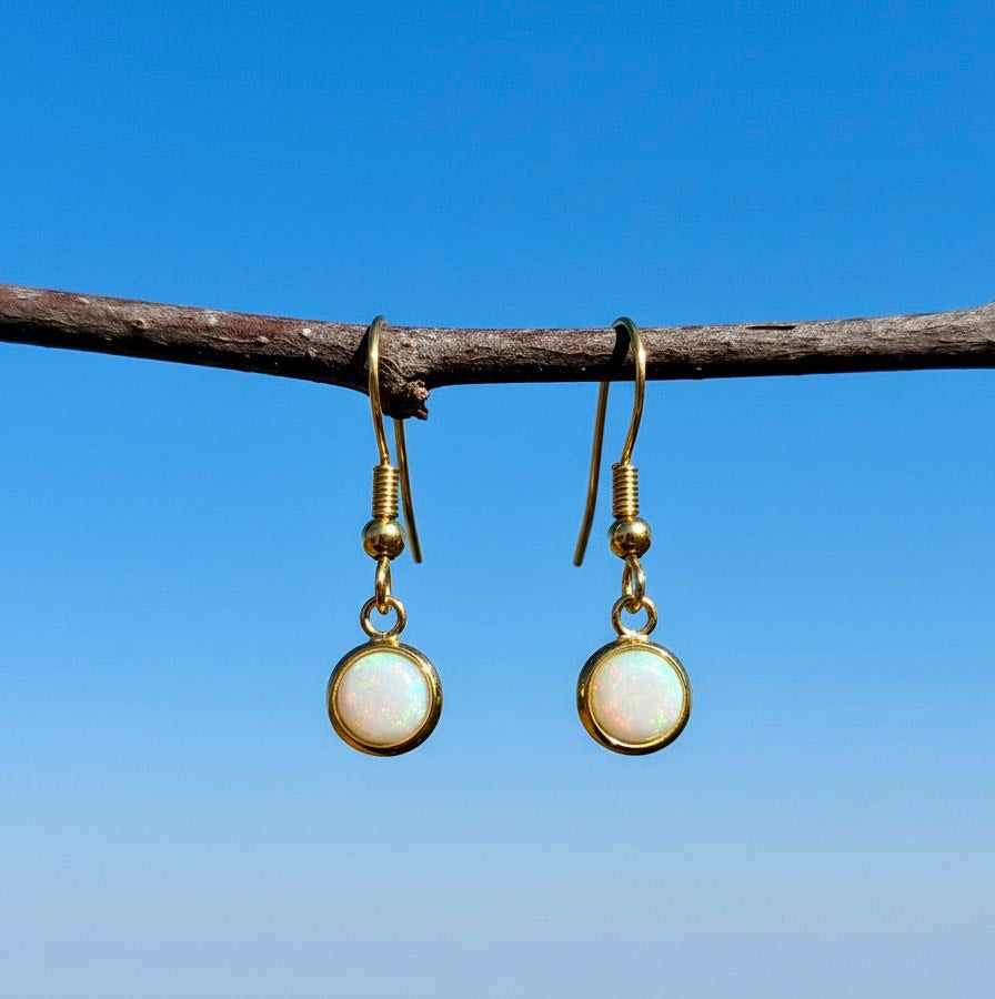 Collectie minimalistische oorbellen met ronde 6mm edelstenen in goud hypoallergeen roestvrij staal