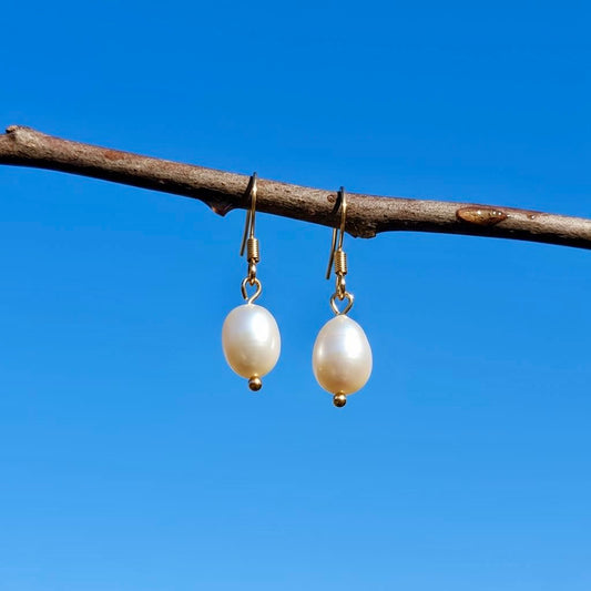 Zoetwaterpareloorbellen met hypoallergene RVS oorhaakjes