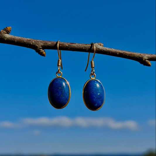 Collectie ovale oorbellen met edelstenen in goud hypoallergeen roestvrij staal