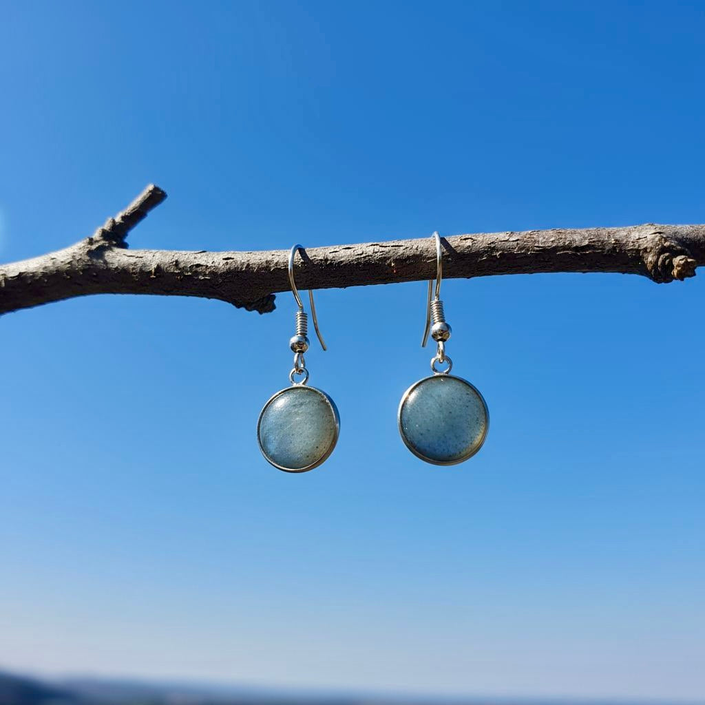 Collectie oorbellen met ronde 12mm edelstenen in zilver hypoallergeen roestvrij staal