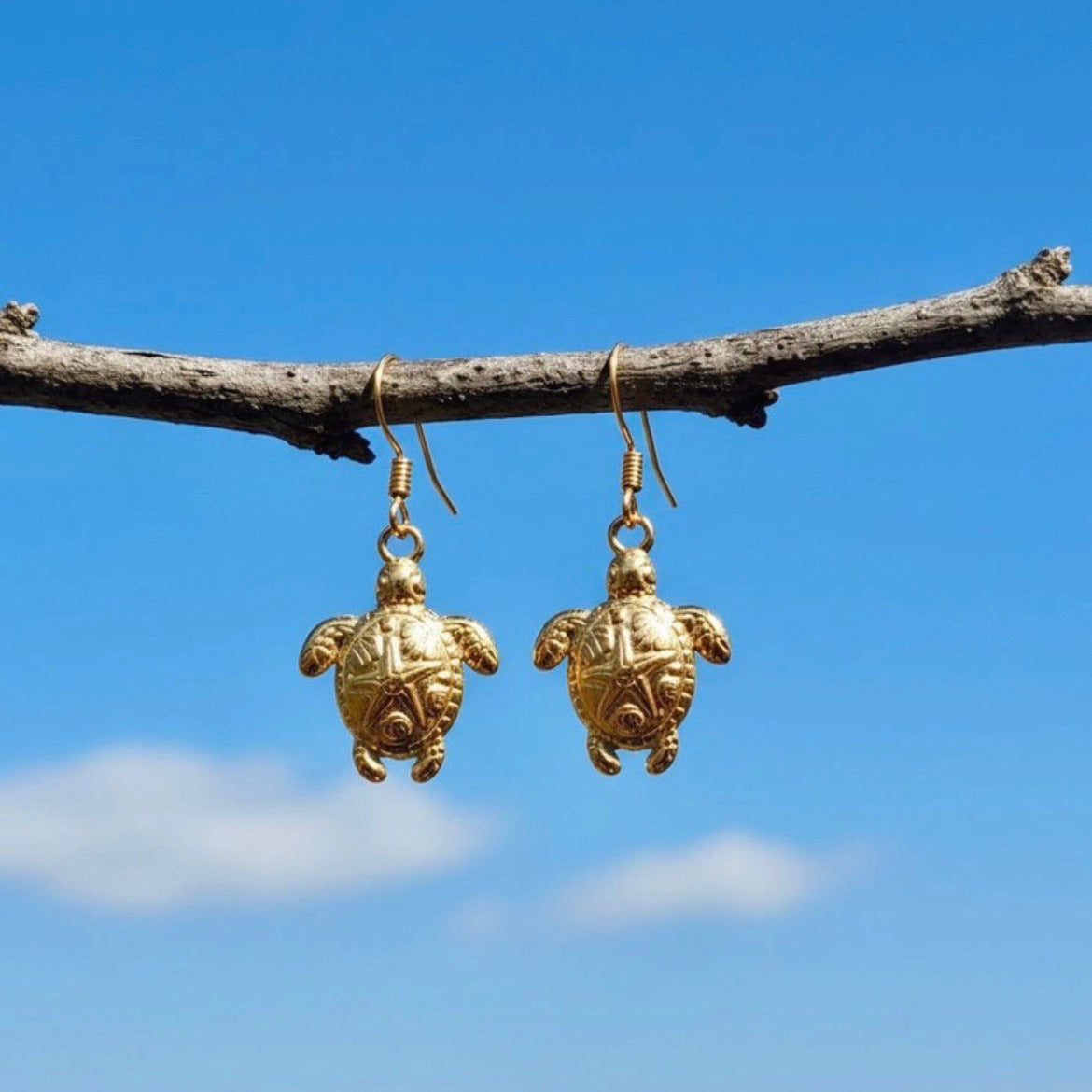 Schildpadoorbellen in goud roestvrij staal