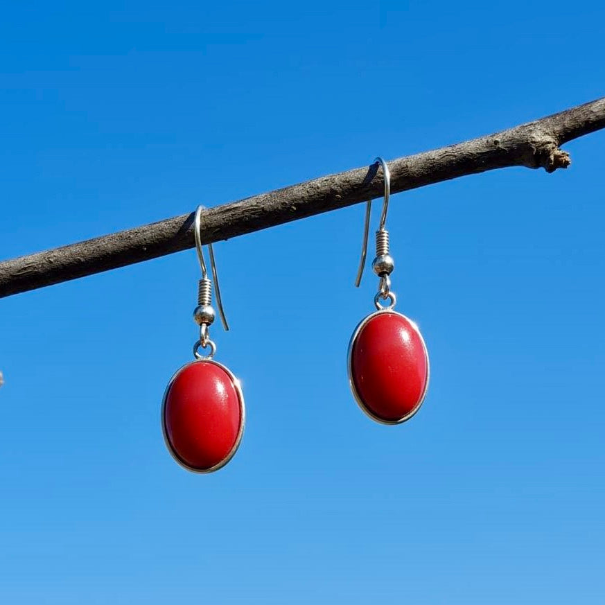 Collectie ovale oorbellen edelstenen in zilver hypoallergeen roestvrij staal